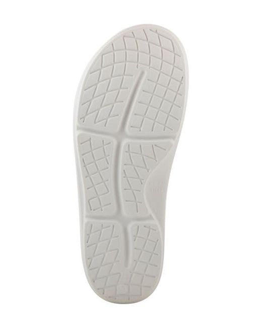 Flexus by Spring Step White Osmar Flip Flop