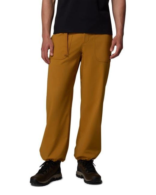 Columbia Brown High Cascades Water Repellent Pants for men