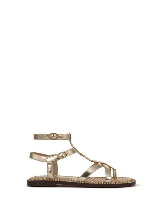 Sam Edelman Multicolor Teeni Gladiator Sandal