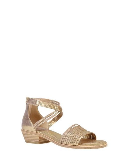 Eileen Fisher Natural Viro Ankle Strap Sandal