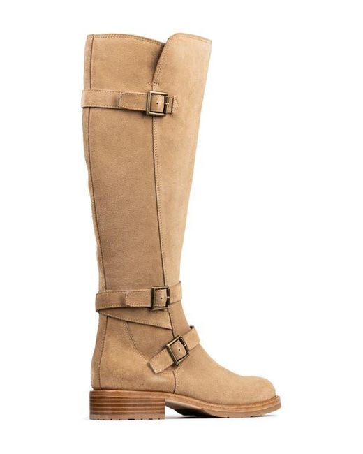 Donald J Pliner Brown Triple Buckle Boots