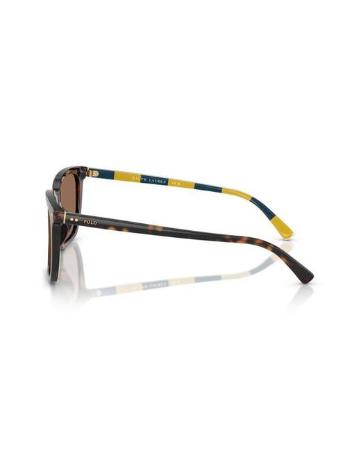 Polo Ralph Lauren Brown 55Mm Rectangular Sunglasses for men
