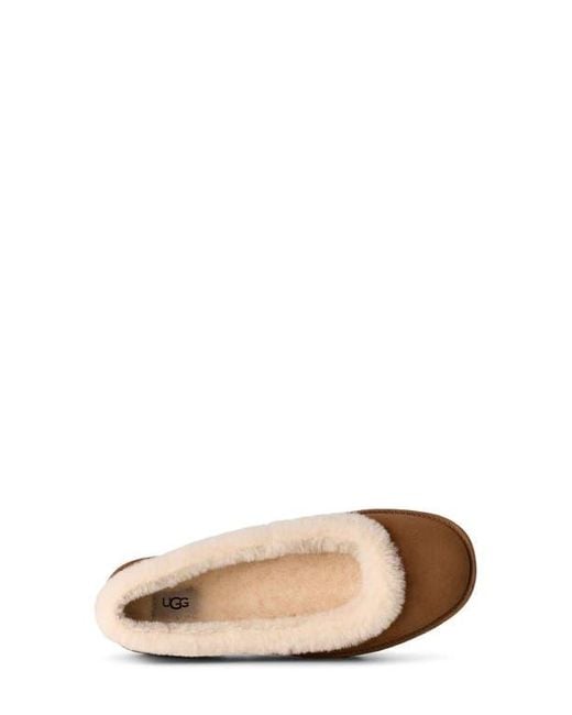Ugg Natural Zora Genuine Shearling Trim Ballet Flat