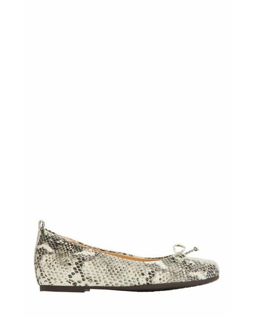 ABEO White Cadence Bow Ballet Flat