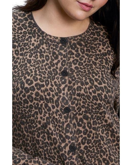 Sanctuary Gray Must-Have Cardigan