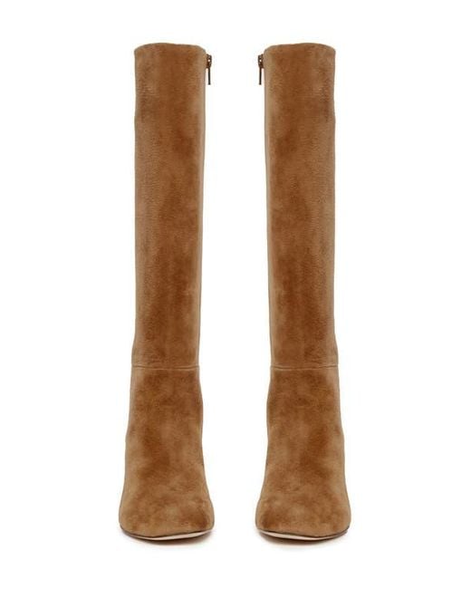 PAIGE Brown Katy Knee High Boot