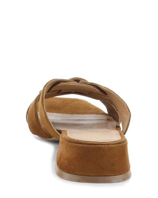 Bos. & Co. Brown Ellis Slide Sandal