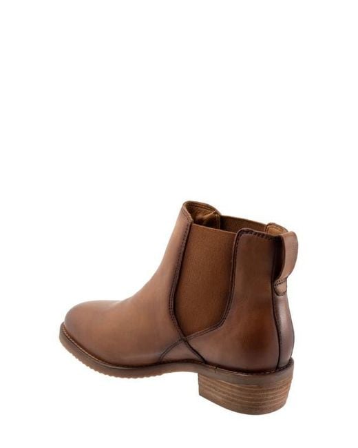 Softwalk® Brown Rana Chelsea Boot