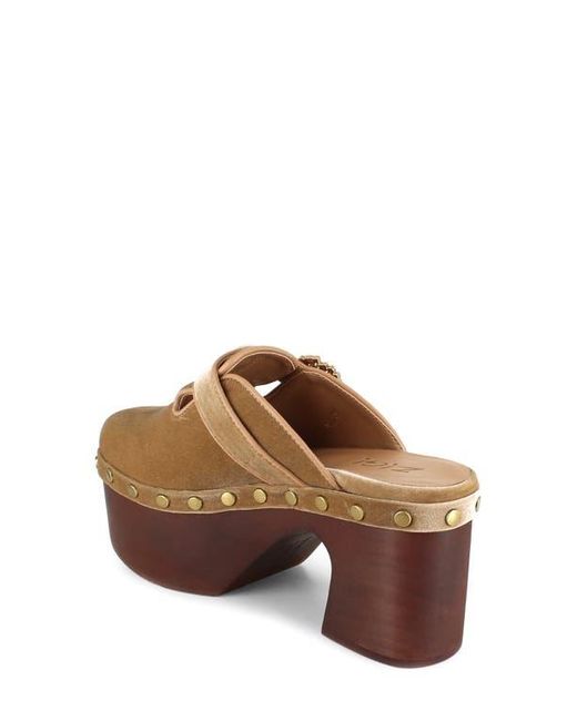 Zigi Brown Macarena Platform Clog