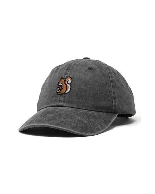 Alix Gray Squirrel Embroidered Outdoor Cap for men
