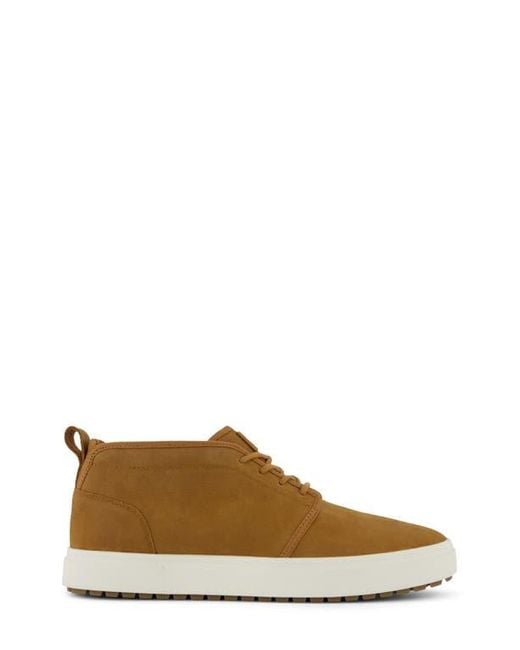 TOMS Brown Carlo Mid Terrain 2.0 Sneaker for men