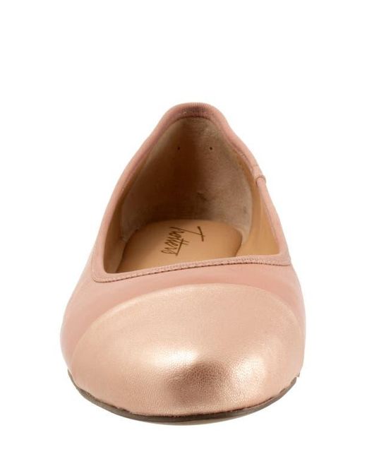 Trotters Brown Clara Cap Toe Flat