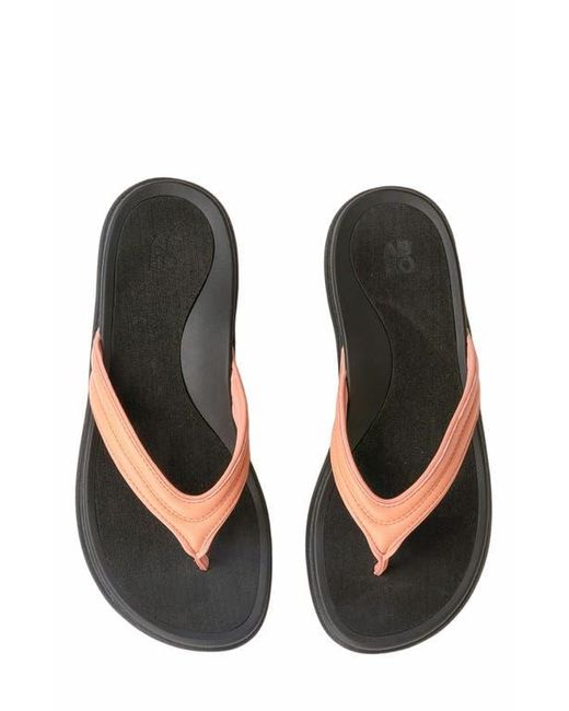 ABEO Multicolor Laguna Thin Strap
