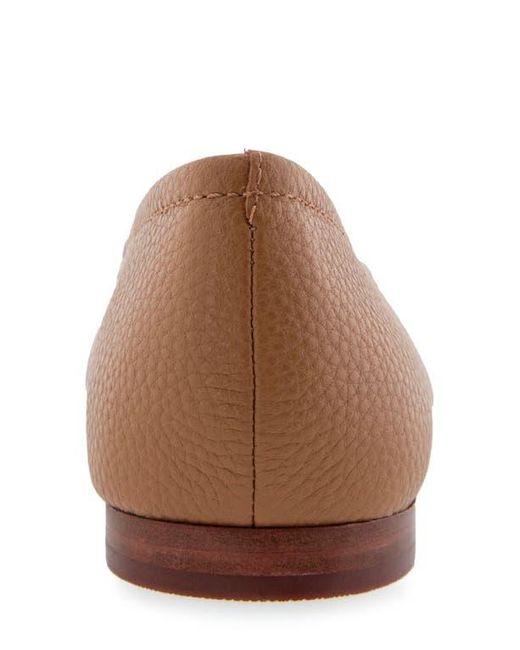 Aerosoles Brown Amelie Ballet Flat