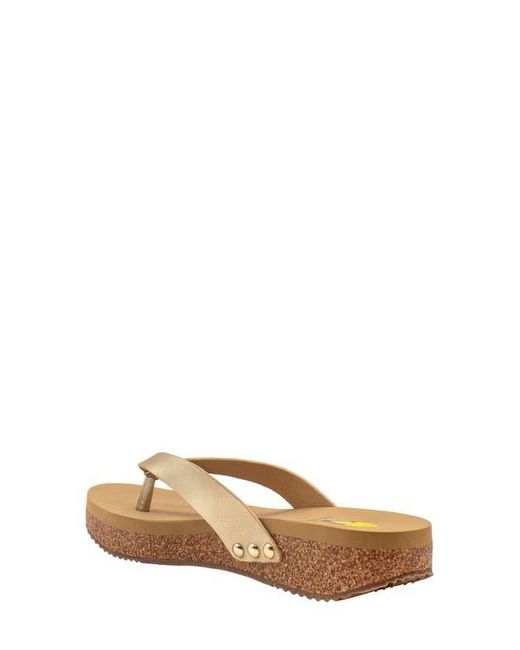 Volatile Brown Reishi Platform Flip Flop