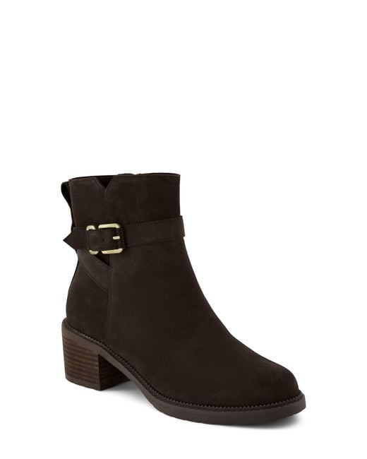 TOMS Brown Hailey Buckle Bootie