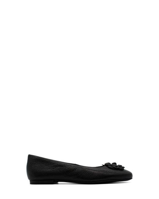 BOTTER Black Botsamya Ballet Flat