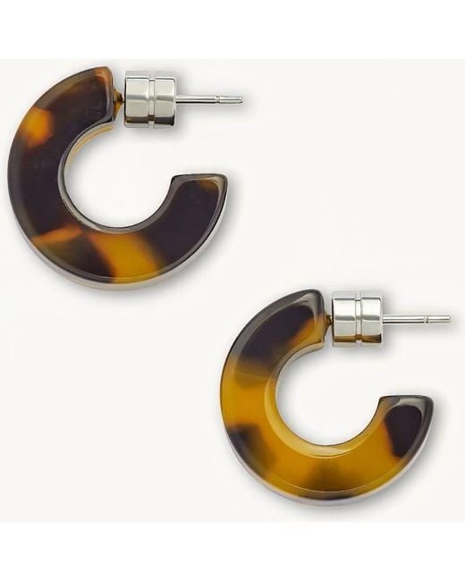 Machete Metallic Muse Hoops