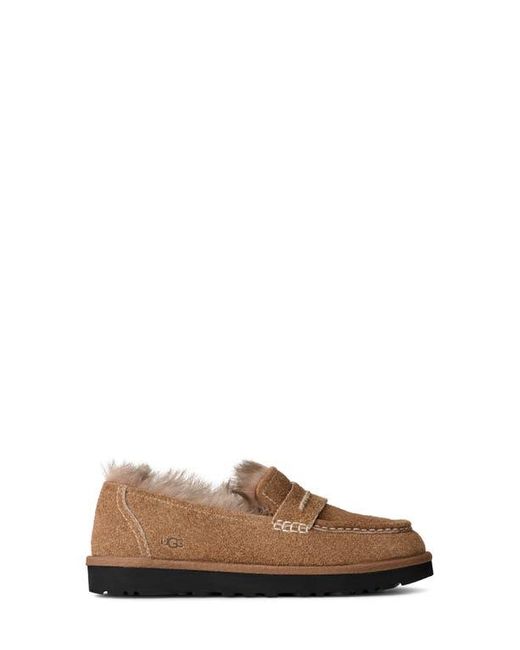 Ugg Brown Ellis Wool Loafer
