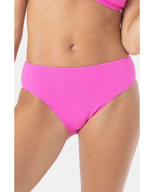 Roxy Purple Haleiwa Hipster Bikini Bottoms