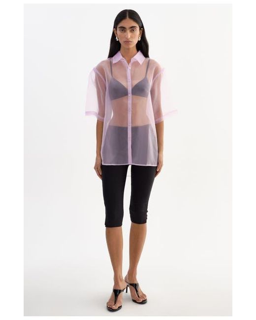 Lamarque Pink Manda