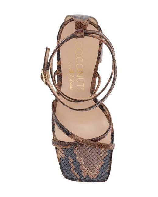 Matisse Multicolor Abba Block Heel Sandal