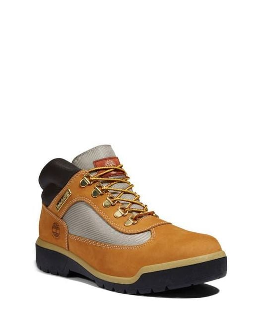Timberland Brown Field Waterproof Boot for men