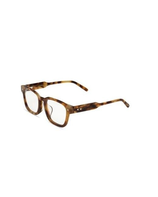 COVRY Brown Aster Light Blocking Glasses