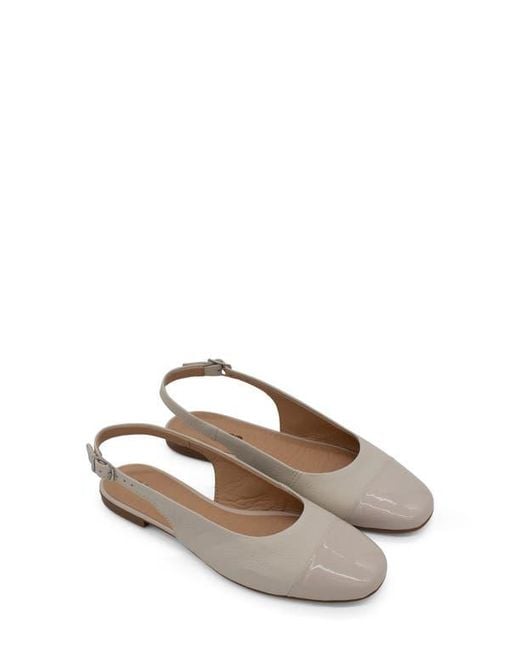 BOTTER Multicolor Botsamya Xxiv Slingback Flat