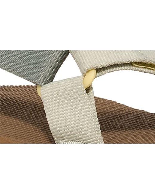 Teva Brown Midform Universal Sandal