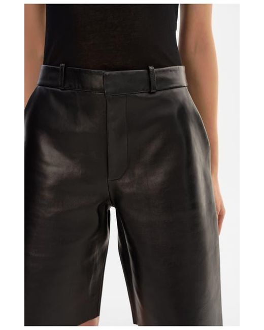 Lamarque Black Lotta