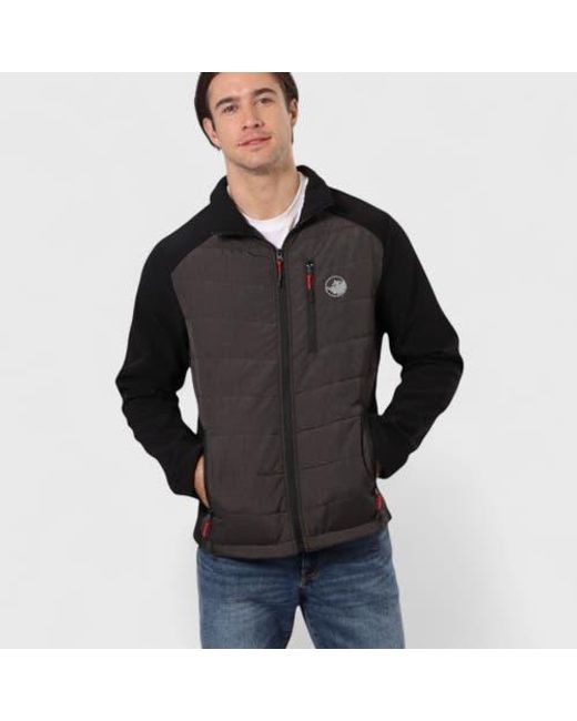 canada weather gear Black Hybrid Softshell Puffer Jacket for men