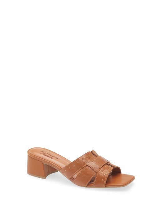 BOTTER Brown Catia Slide Sandal