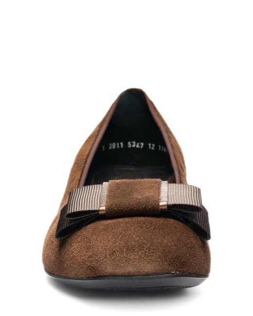 Ara Brown Garnet Suede Pump