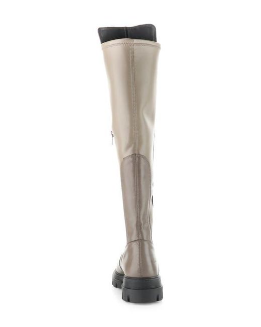 Bos. & Co. Brown Fifth Waterproof Knee High Boot