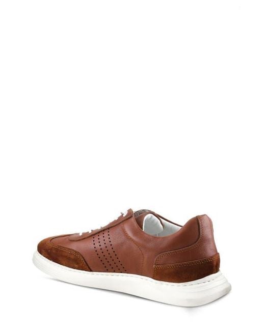 Spring Step Brown Trenton Sneaker for men
