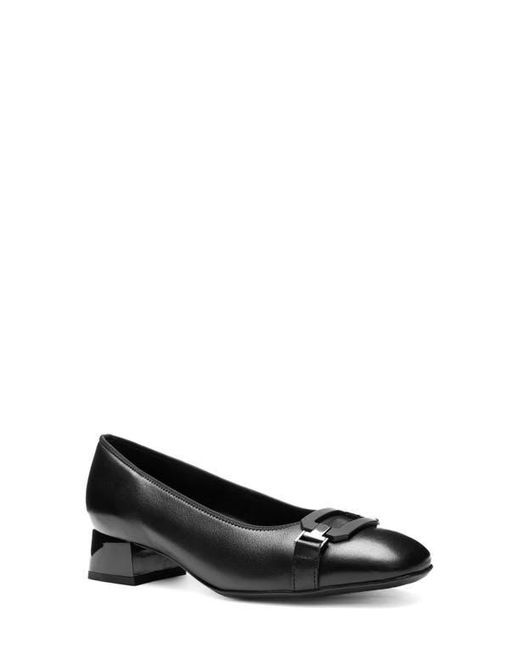 Ara Black Glacier Pump