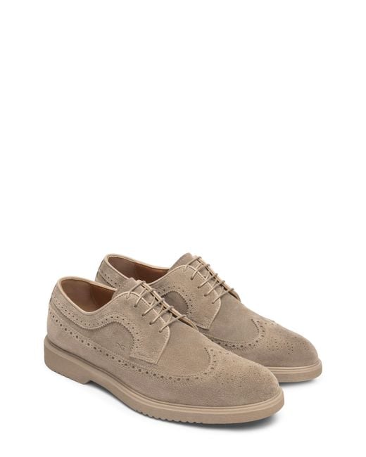 Nero Giardini Brown Wingtip Derby for men