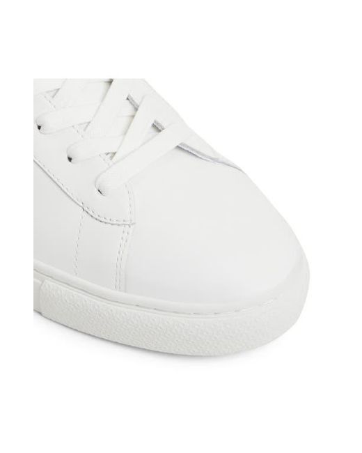 Ted Baker White Bradley Sneaker for men