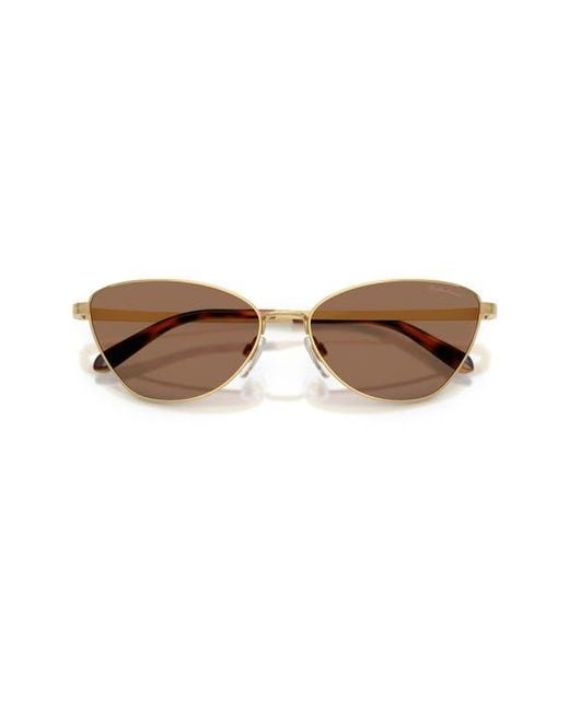 Ralph Lauren Brown 60Mm Rectangular Sunglasses