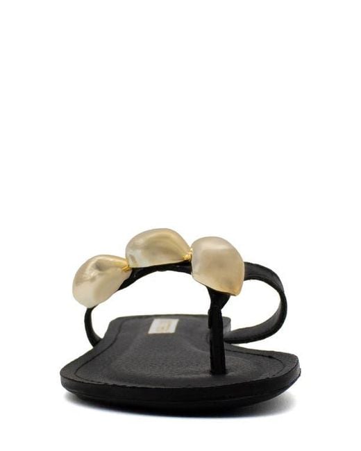BOTTER Black Botnanda Slide
