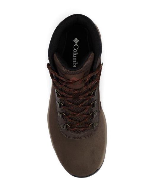 Columbia Brown Newton Wander Waterproof Hiking Boot for men
