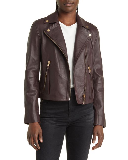AllSaints Brown Dalby Leather Moto Jacket