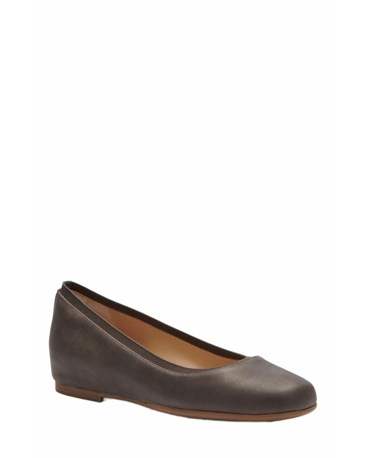 ABEO Brown Cadence Ballet Flat