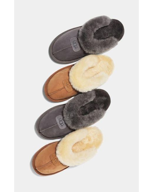 Ugg Gray ugg(r) Shearling Lined Slipper