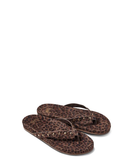 Beek Brown Tringa Flip Flop