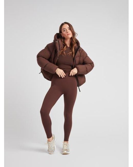 Jacket Brown Cloud Cropped Hooded Puffer Jacket