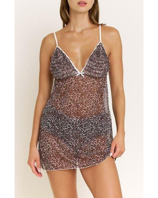 Honeydew Intimates Purple Rumba Floral Ruffle Sheer Chemise