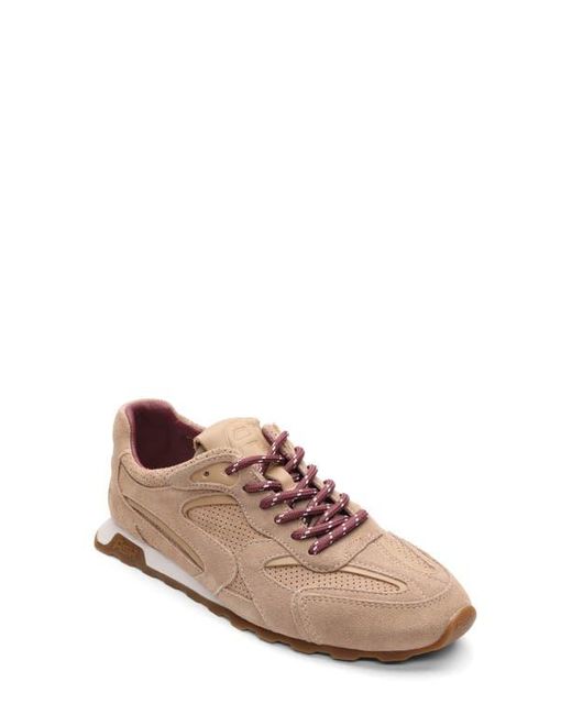Ash Pink Kasar Sneaker
