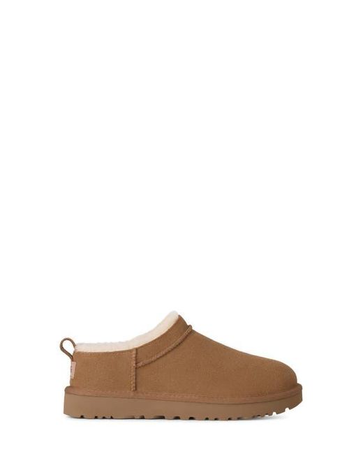 UGG Women's Brown Classic Micro Genuine Shearling Slipper